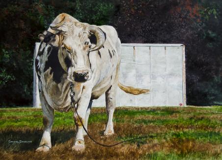 Samuel Donovan, "Todd's Mother Cow" Watercolor, 18" x 24"